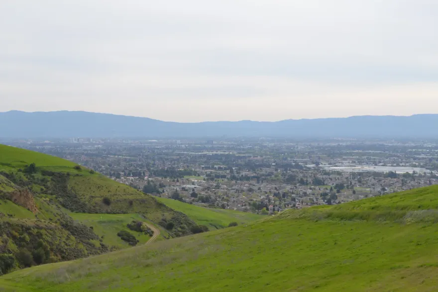 Homes in Milpitas, California